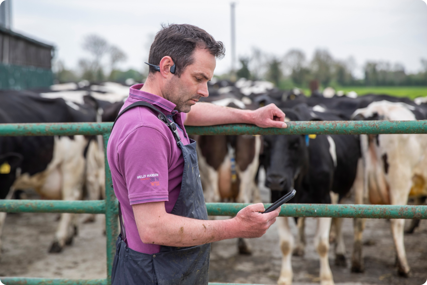 Early Heat Detection with SenseHub: Maximize Reproductive Efficiency