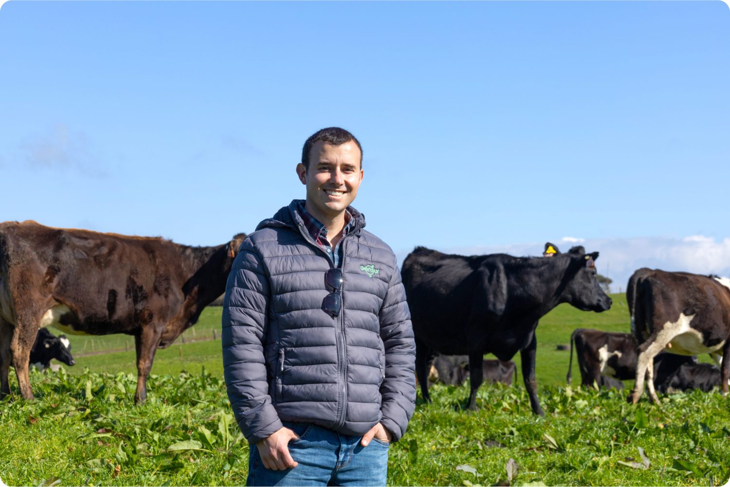 How farmers in Latin America are using SenseHub to prevent disease amongst their herds